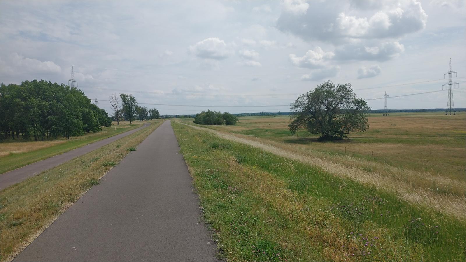 Elbe 2