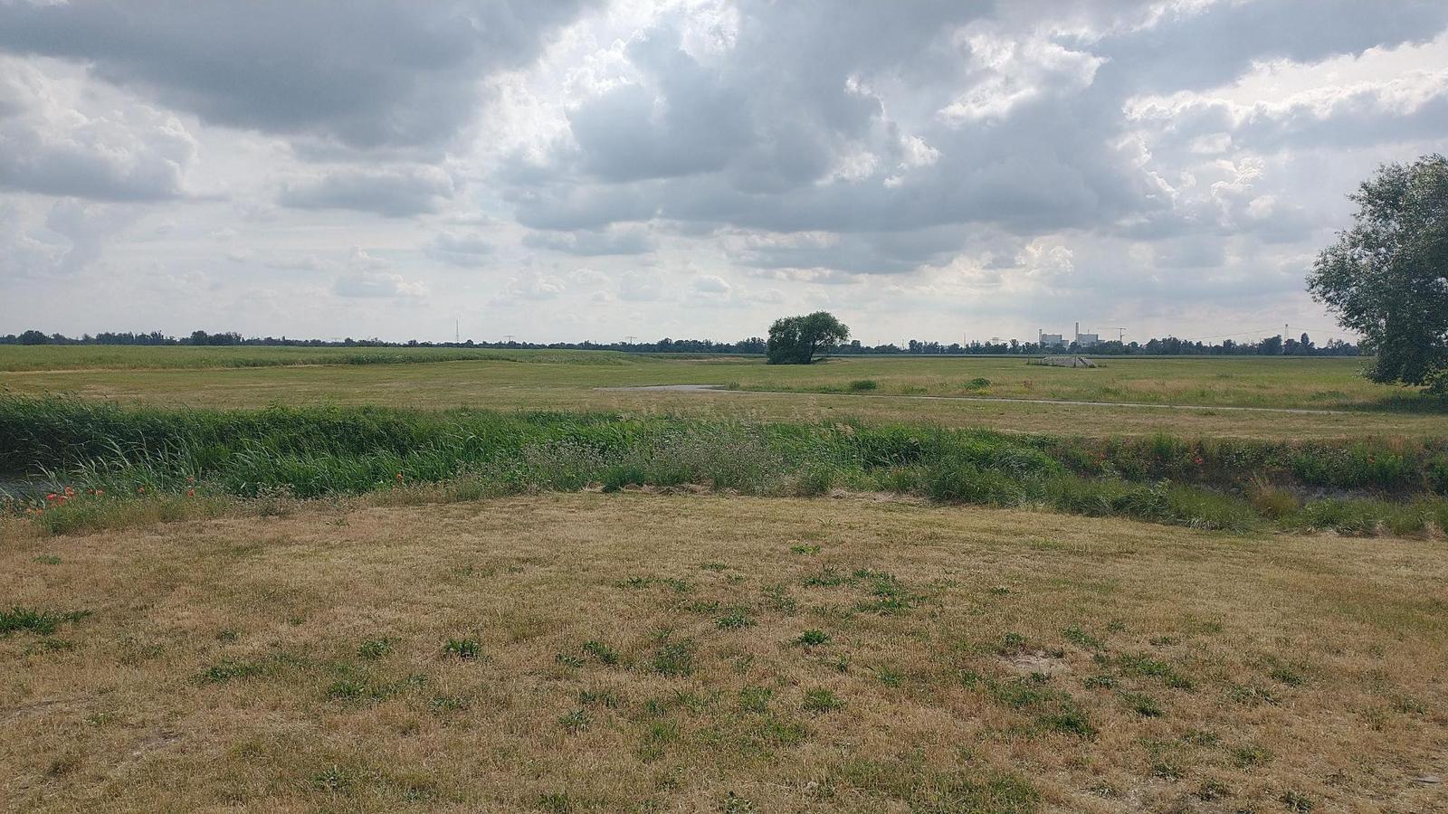 Elbe 4
