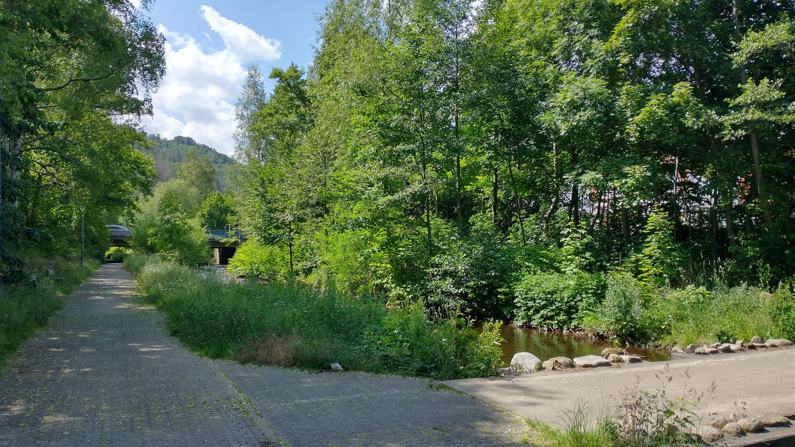 Tag6-1